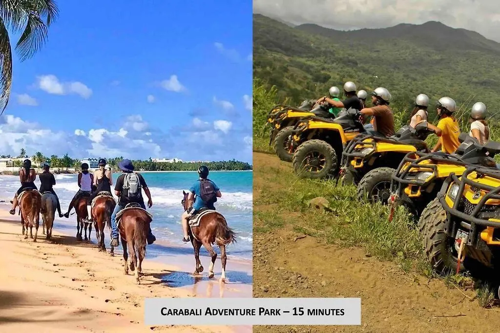 Beachfront Studio Sanctuary Luquillo