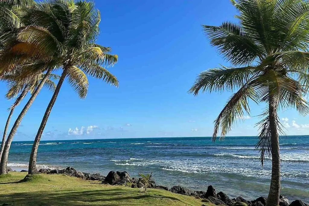 Beachfront Studio Sanctuary Luquillo